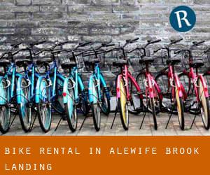 Bike Rental in Alewife Brook Landing