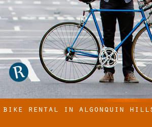 Bike Rental in Algonquin Hills