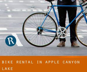 Bike Rental in Apple Canyon Lake