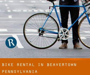 Bike Rental in Beavertown (Pennsylvania)