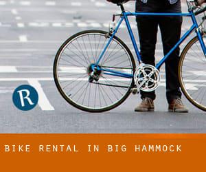 Bike Rental in Big Hammock