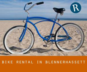 Bike Rental in Blennerhassett