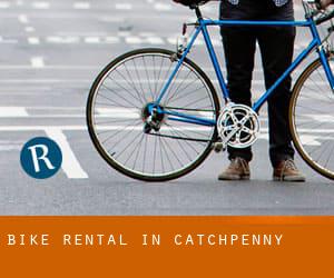Bike Rental in Catchpenny