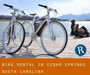 Bike Rental in Cedar Springs (South Carolina)
