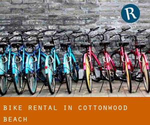 Bike Rental in Cottonwood Beach