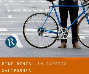 Bike Rental in Cypress (California)