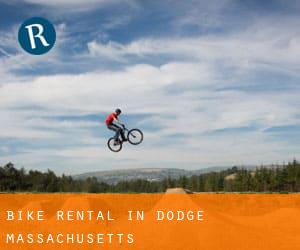Bike Rental in Dodge (Massachusetts)