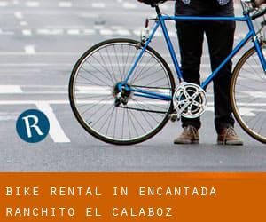 Bike Rental in Encantada-Ranchito-El Calaboz