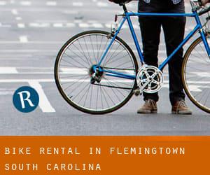 Bike Rental in Flemingtown (South Carolina)