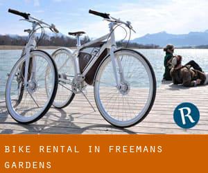 Bike Rental in Freemans Gardens