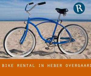 Bike Rental in Heber-Overgaard