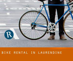 Bike Rental in Laurendine