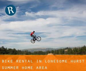 Bike Rental in Lonesome Hurst Summer Home Area