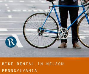 Bike Rental in Nelson (Pennsylvania)