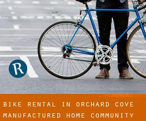 Bike Rental in Orchard Cove Manufactured Home Community