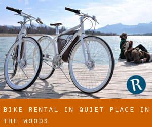 Bike Rental in Quiet Place in the Woods