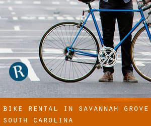 Bike Rental in Savannah Grove (South Carolina)