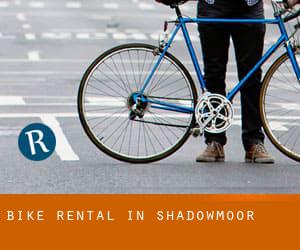 Bike Rental in Shadowmoor