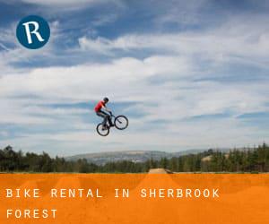 Bike Rental in Sherbrook Forest