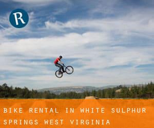 Bike Rental in White Sulphur Springs (West Virginia)
