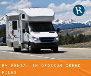 RV Rental in Opossum Creek Pines