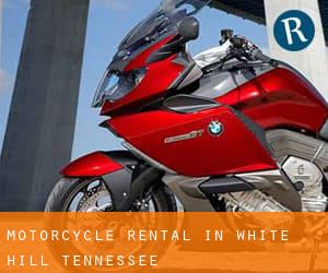 Motorcycle Rental in White Hill (Tennessee)
