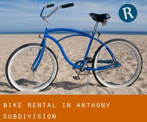 Bike Rental in Anthony Subdivision