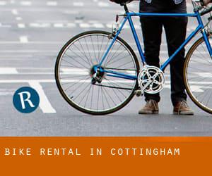 Bike Rental in Cottingham