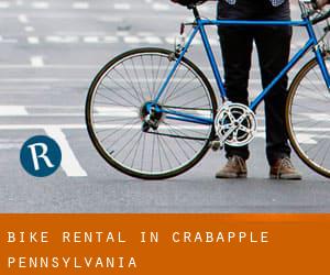 Bike Rental in Crabapple (Pennsylvania)