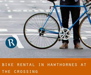 Bike Rental in Hawthornes At The Crossing