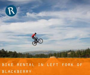 Bike Rental in Left Fork of Blackberry