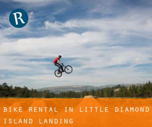 Bike Rental in Little Diamond Island Landing