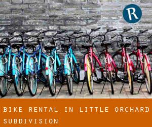 Bike Rental in Little Orchard Subdivision