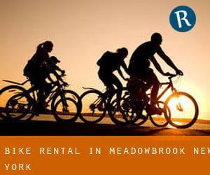 Bike Rental in Meadowbrook (New York)