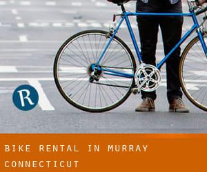 Bike Rental in Murray (Connecticut)