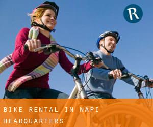 Bike Rental in Napi Headquarters