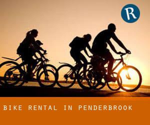 Bike Rental in Penderbrook