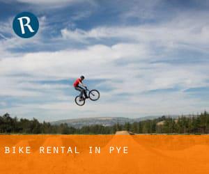 Bike Rental in Pye