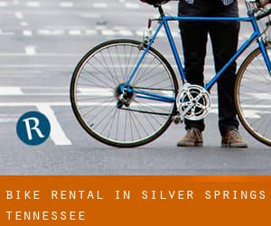 Bike Rental in Silver Springs (Tennessee)