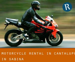 Motorcycle Rental in Cantalupo in Sabina