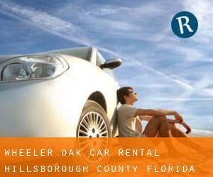 Wheeler Oak car rental (Hillsborough County, Florida)